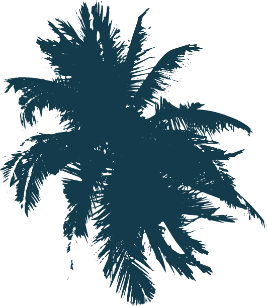 palmtree2