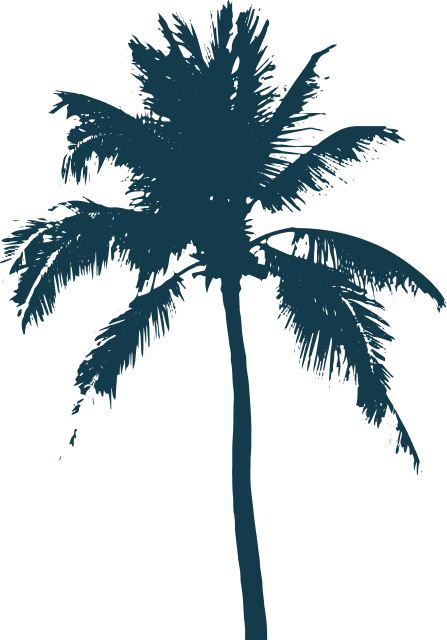 palmtree