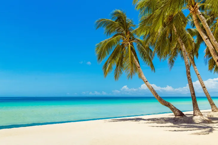 12 Must a Punta Cana